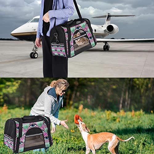 Pet Transporty Eyes engraçados Design projetar portadores de viagem para animais de estimação para gatos, cães