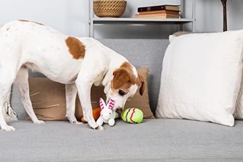 Midlee esconde um brinquedo de cachorro de cesta de páscoa de brinquedo