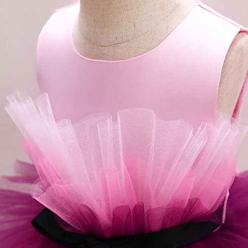 Flor Baby Girl Lace Dress Criano Tulle Sleesenseless Bow Princess Party Wedding Pageant Dmaid