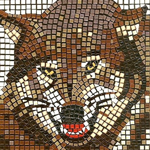 Kits de arte em mosaico romano para adultos: Aprenda a arte dos mosaicos, gaivota quadrada de 7 polegadas