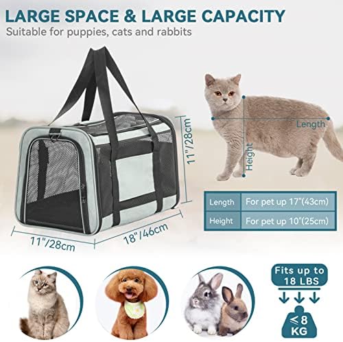PetSfit Airline aprovou transportadora de animais de estimação de gatos, portadores de cães leves e laterais leves