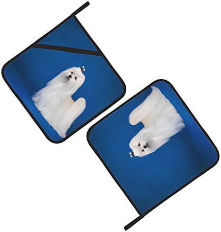 Cabelo longo Maltês Pet White Pet Hot Pad Resista a calor Pote de panela 2 PCS Pote com bolsos 8 × 8 polegadas