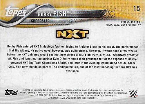 2018 Topps Wrestling WWE 15 Bobby Fish First NXT Card Sports Card