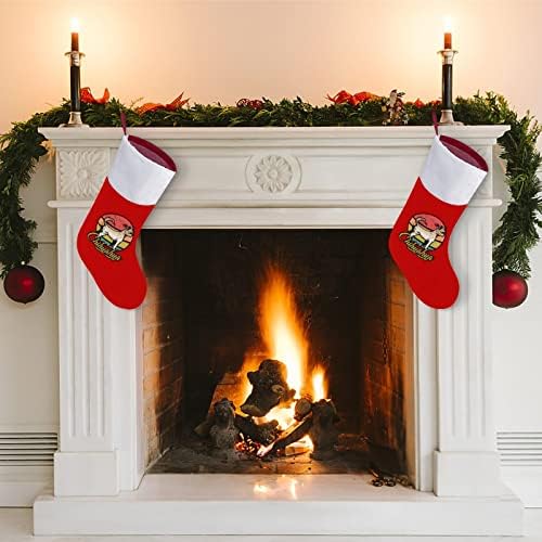 Chihuahua Sunset meias de Natal coloridas de veludo vermelho com bolsa de doce branca decorações