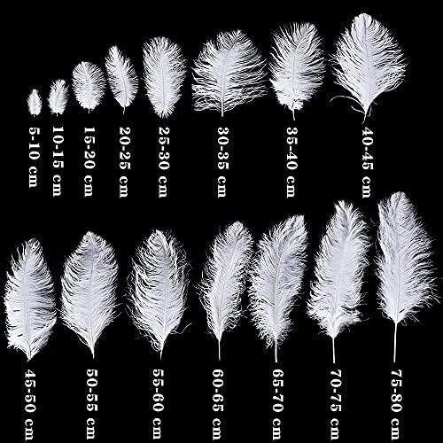 Pumcraft Feather for Decor Jóias Diy 10pcs/Lote Elegante Avestruz Branca Feathers 15-75cm para artesanato Diy