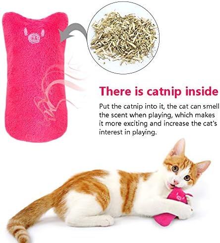 Dentes zboro getnip catnip engraçado interativo gatinho gato gatinho mastigando garras vocais