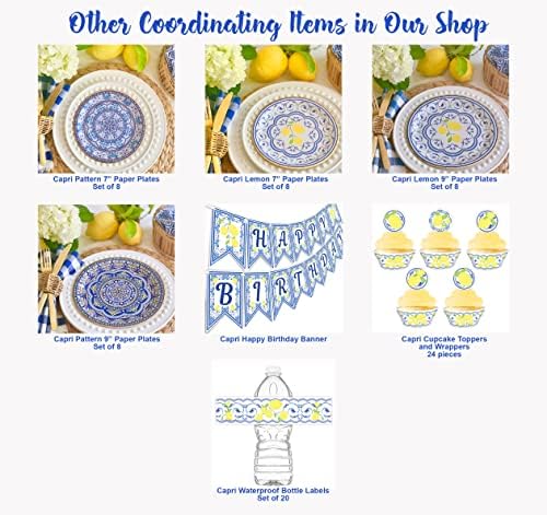 Capri Blue Pattern Paper Placas - Conjunto de 8 placas de papel - material de festas de piquenique - suprimentos