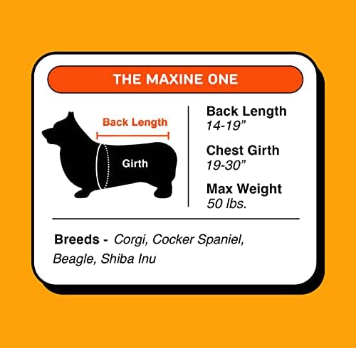 Little Chonk the Maxine One Dog Backpack Transports - Face de frente, seguro e confortável, Chonkcrete