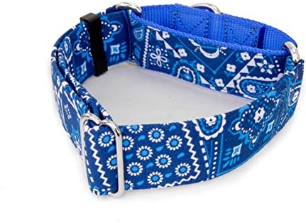 Colares caninus blue bandana Paisley - 5/8 - 2 Warth Dog Collar - fivela e martingale