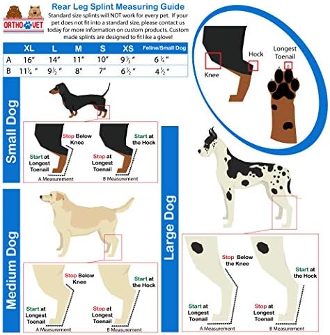 Tala traseira padrão de ortovet para cães com artrite ou lesões