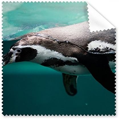 Ocean Penguin Water Picture Picture Ploth Tela de pano de pano de pano de água limpador 5pcs