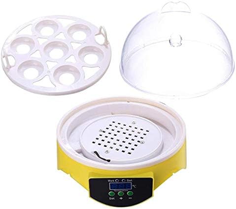 Zapion 7 ovos Mini Incubadora de controle automático de temperatura digital transparente para galinhas patos Aves