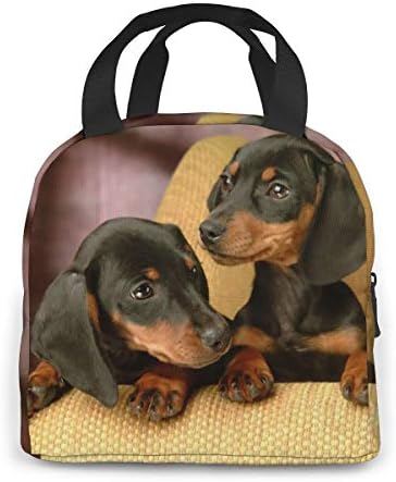 TMVFPyr Dog Bag Bag Cooler Bag Women Saco de lancheira isolada lancheira resistente a água resistente ao linear