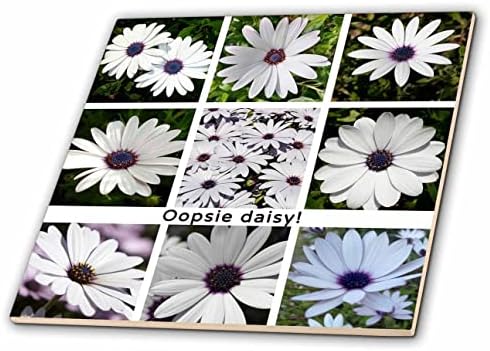 3drose Apology oopsie Daisy White African Daisy Collage Desculpe Saudação - Tiles