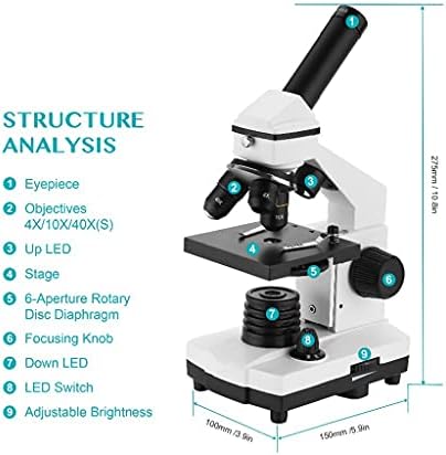 FKSDHDG 64X-640X Microscópio biológico profissional Up/Down Microscópio monocular LED para estudantes Educação