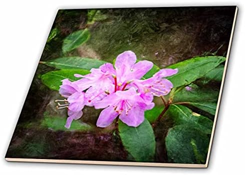 3drose com base em uma fotografia de uma flor manchada durante a caminhada, com textura. - Azulejos