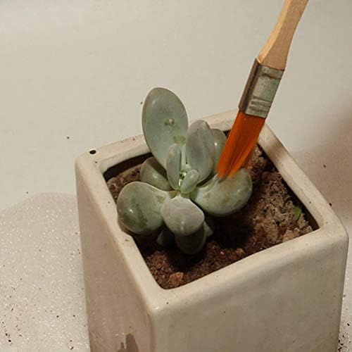 Kits de miniatura de cabilock 7pcs ferramentas de plantas mini ferramentas manuais de jardim de conjunto de ferramentas de transplante de transplante de ferramentas de jardinagem para pinças de plástico de plástico para plantas internas