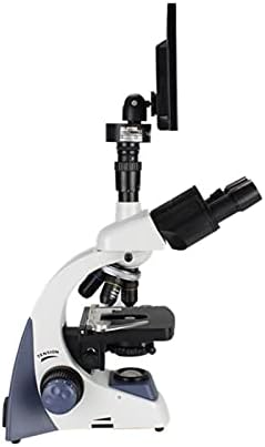 Microscópio biológico, imagem de alta definição, grande campo de visão, detecção bacteriana, etc.