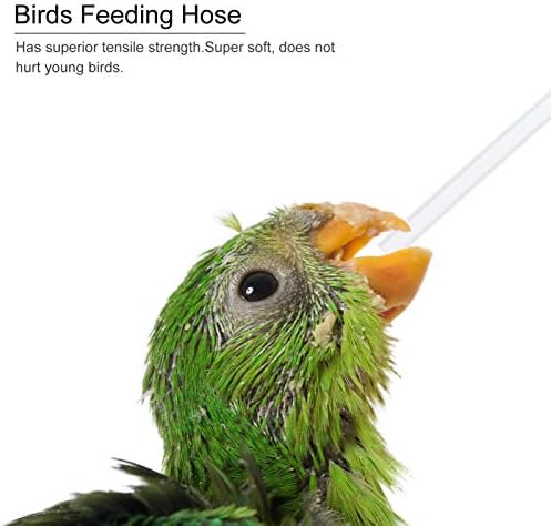 Pássaros alimentadores de água Tubos de alimentação de pássaros de pássaros Mangueiras de alimentação