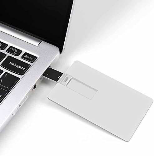 Padrão de gatos acionamento USB 2.0 32g e 64g Cartão de memória portátil para PC/laptop