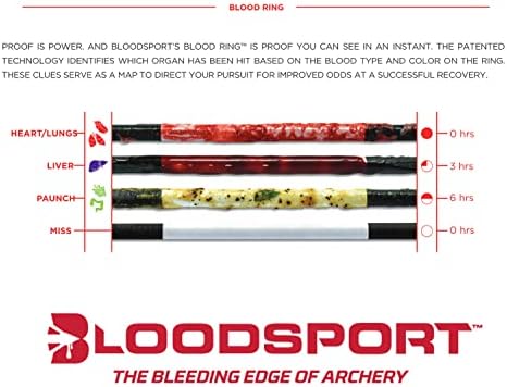 Bloodsport Julgamento Eixo nua e leve flecha de caça a carbono durável para o arco composto - 31 Comprimento.244