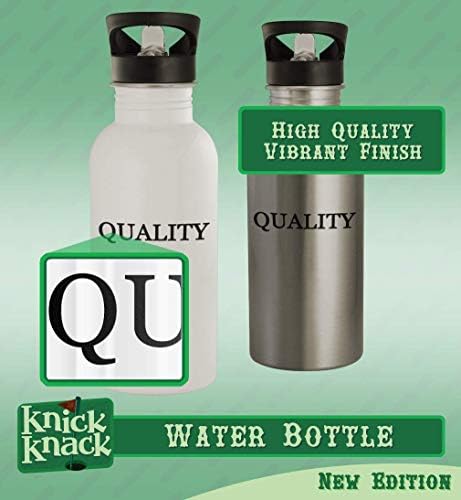 Presentes de Knick Knack Drygoods - 20 onças de aço inoxidável garrafa de água, prata
