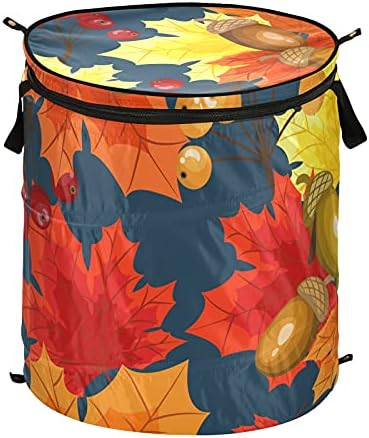Folhas de outono de outono Pop -up Up Lavandery TurMper com tampa de zíper cesta de roupa dobrável com alças Organizador
