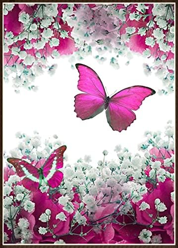 ZGMAXCL Diamond Pintura Diy Para adultos e crianças Drill completo redondo borboletas e flores Stromestone Grande