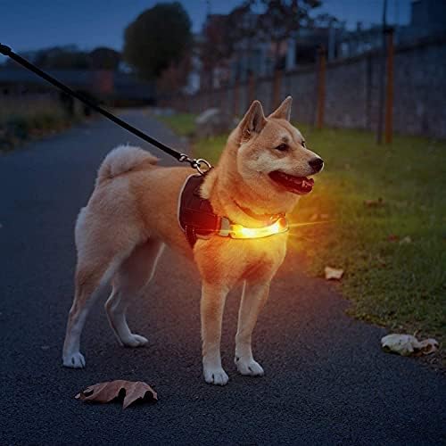 Laroo Light Up Collar Dog com adesivos de nylon, acessórios universais de colarinho e colar