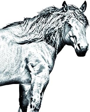 Art Dog Ltd. Cavalo da Montanha Basca, lápide oval de azulejo de cerâmica com uma imagem de um cavalo