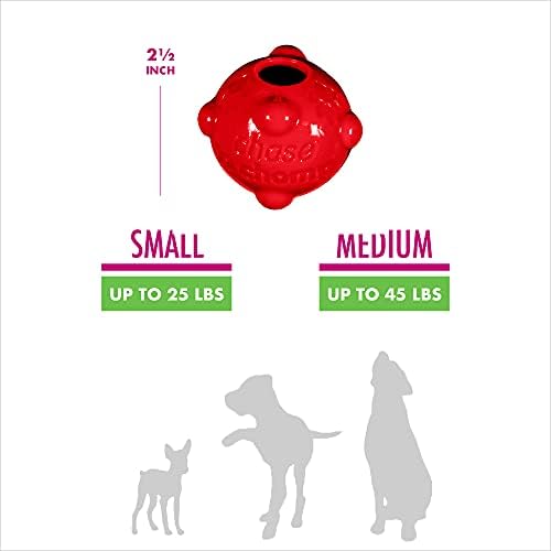 Chase 'n chomp cachorro incrível brinquedo de bola para animais de estimação, molécula, raças pequenas de 2,5