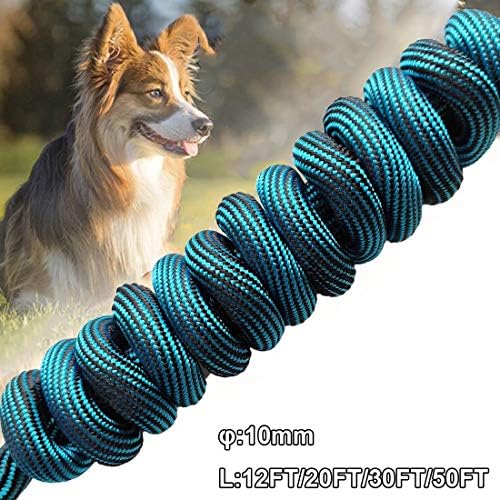 Btinesful 20ft anti-choke slip churince cão coleira + 20 pés de cachorro amarrar corda coleira