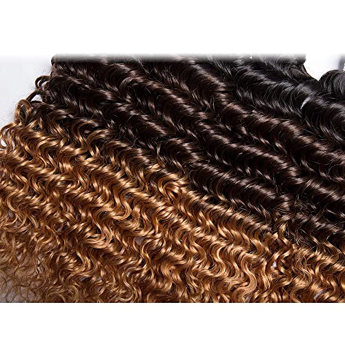 Ombre Human Hair 3 Pacote Deep Wave Deep T1B-4-27 Pacacos de cabelo brasileiros 100 % não processados ​​Remy