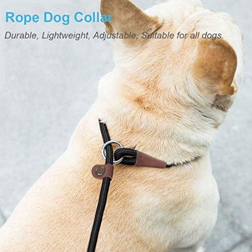 Colar de gola de colarinho de colarinho de nylon colarinho de estrangulamento para treinamento de cães- sem colar