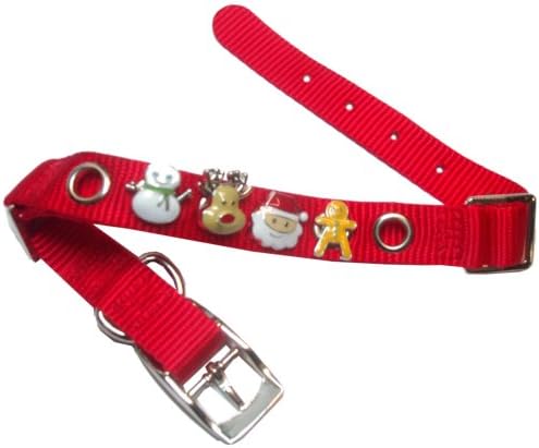 HRH Pets Holiday Collar and Charm Set, grande