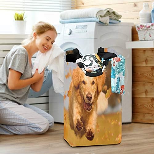 Alaza Dog Golden Retriever Autumn Leaf Cesty cesto cesto grande caixa de armazenamento com alças para cestas de presentes, quarto, roupas
