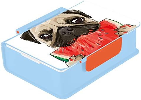 Alaza Funny Pug Dog Watermelon Bento lancheira BPA BPA à prova de lanchonete à prova de vazamentos com garfo