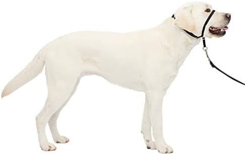 PetSafe líder suave sem puxar o colarinho de cães - a solução final para puxar - redireciona o puxamento do seu cão para caminhadas mais fáceis - ajuda a recuperar o controle - grande, preto