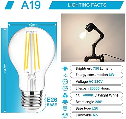 ASCHER 60 watts equivalente, lâmpadas de filamento LED E26, Luz do dia 4000k, vidro clássico clássico