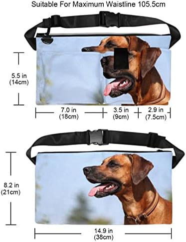 Bolsos de bolsa de bolsa de ferramentas para cães Ridesian Ridgeback para cães