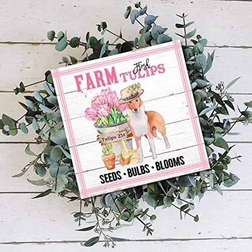 Sinais de madeira fazenda Farm Flor Market Placas de madeira Tulipas rosa King Charles Spaniel Dog Farmhouse
