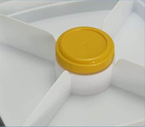 NC Camada dupla espessada para lancheira plástico para piquenique Box Box Square Resistente à lancheira Resistente a calor Caixa de manutenção fresca Marinha