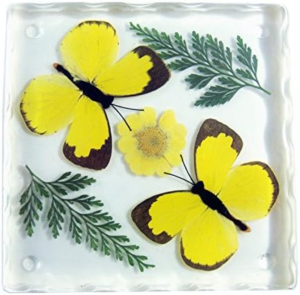 Coaster de resina Realbug com duas borboletas amarelas de grama