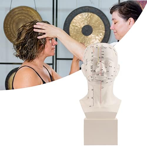 HD Padrão TCM Modelo de cabeça de acupuntura humana, acupuntura PRÁTICA DE ENCESSÃO PRÁTICA DE FERRAMENTAS E APRENDIZAGEM