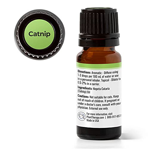 Terapia vegetal Catnip Óleo essencial puro, não diluído, aromaterapia natural, terapêutica grau 10 ml