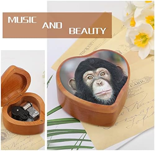 Nudquio chimpanzee face madeira caixa
