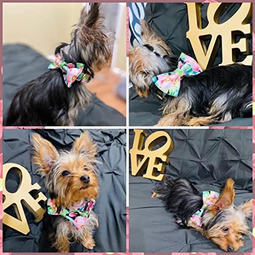 LMMDDP Pet Dog Collar Personalizado Impressão Floral Pink Cola de cachorro Cute e coleira configurada para pequenos