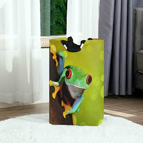 Alaza Red Eye Frog Cesto cesto cesto grande caixa de armazenamento com alças para cestas de presentes, quarto, roupas