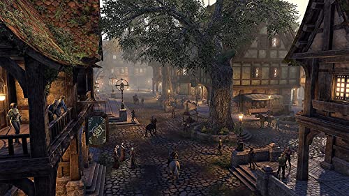 A coleção on -line do Elder Scrolls: Blackwood Collector's Edition - Xbox [Código Digital]