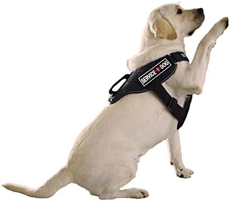 Dogline Service Dog Patch para arnês e colete Removável Remacos de borracha 3D Backing de gancho para cães